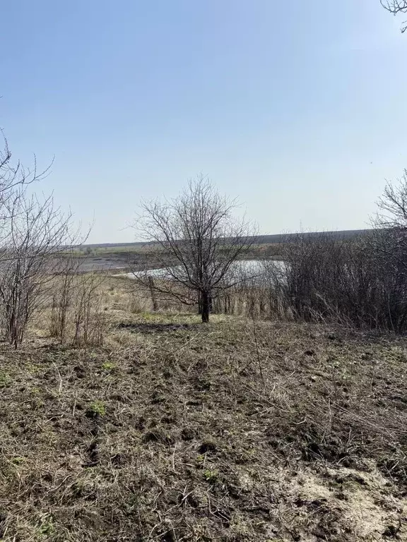 Участок в Саратовская область, Саратов муниципальное образование, пос. ... - Фото 1