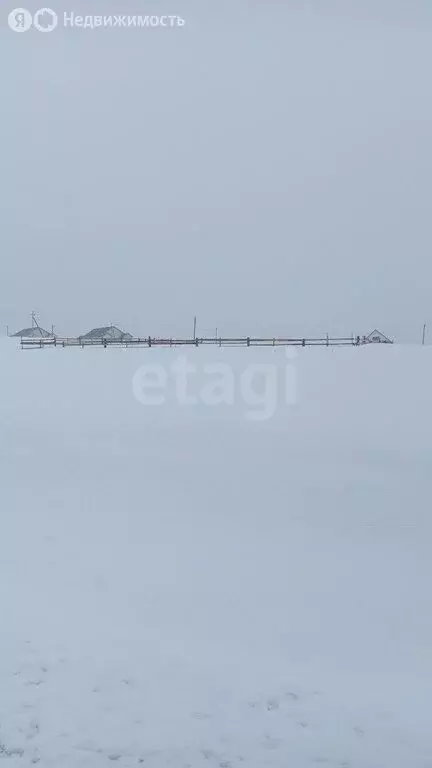 Участок в Республика Алтай, село Чоя (25 м) - Фото 2