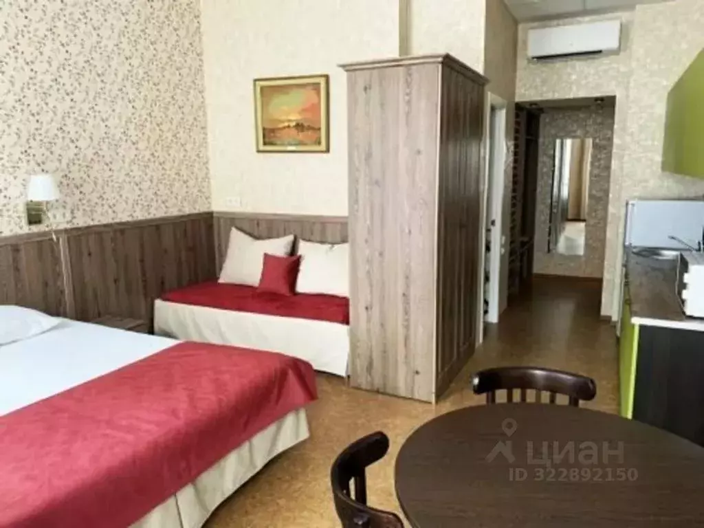 1-к кв. Санкт-Петербург Большая Морская ул., 25 (29.0 м) - Фото 1