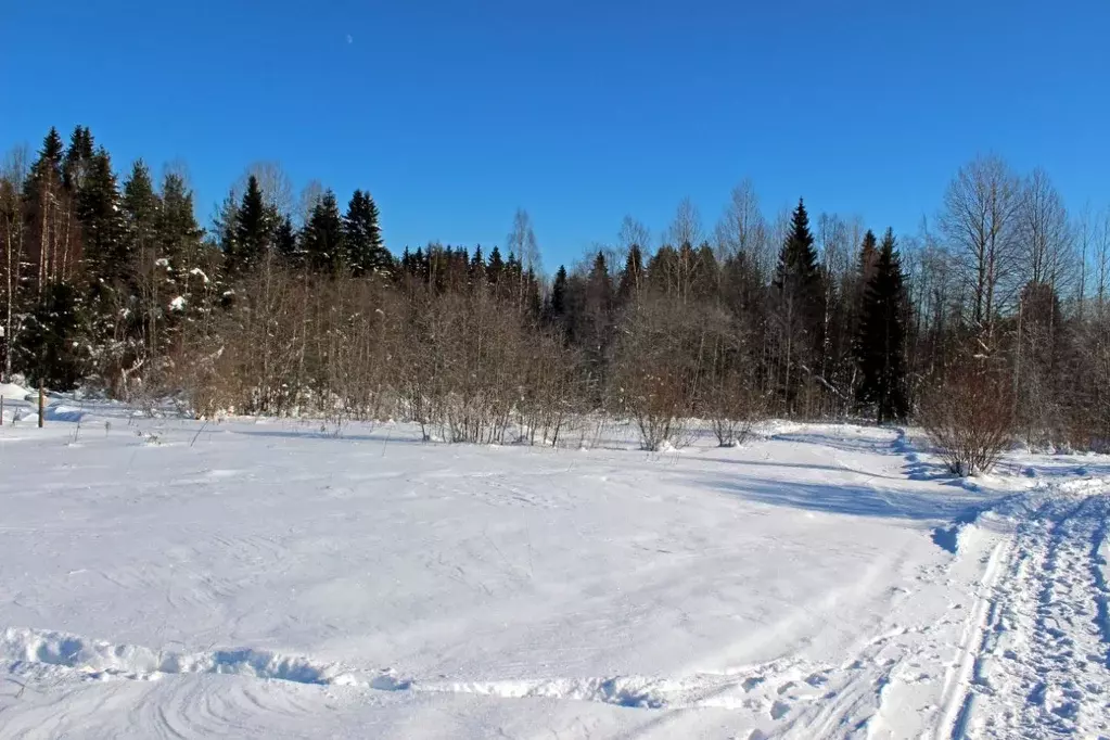 Участок в Карелия, Лахденпохья  (13.75 сот.) - Фото 2