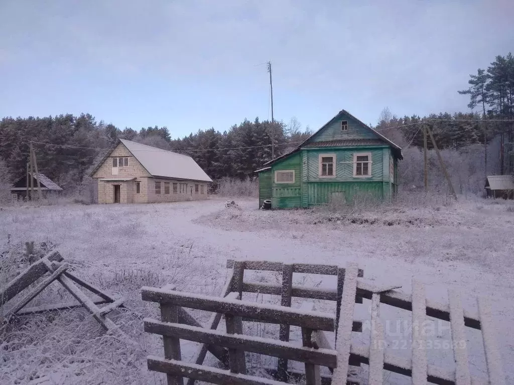 Помещение свободного назначения в Новгородская область, Валдайский ... - Фото 1