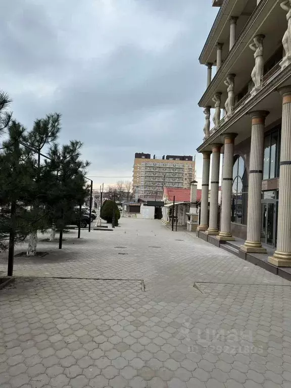 Торговая площадь в Краснодарский край, Анапа муниципальный округ, с. ... - Фото 2