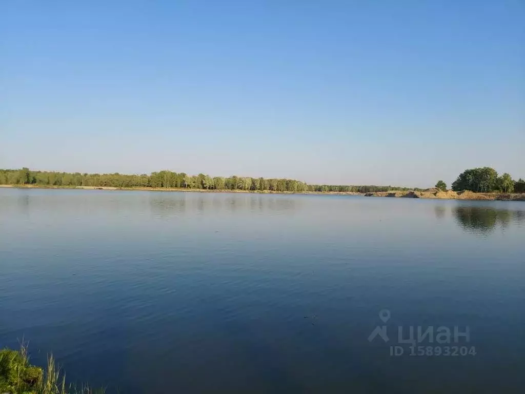 Дом в Новосибирская область, Колыванский район, Омега СНТ ул. Полевая .,  Купить дом в Колыванском районе, ID объекта - 50010489909