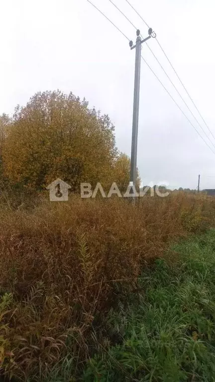 Участок в Владимирская область, Суздальский район, Боголюбовское ... - Фото 1