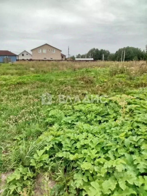 Участок в Ленинградская область, Всеволожский район, Лесколовское ... - Фото 1
