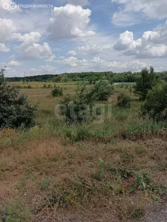 Участок в село Святославка, Дачная улица (1600 м) - Фото 1