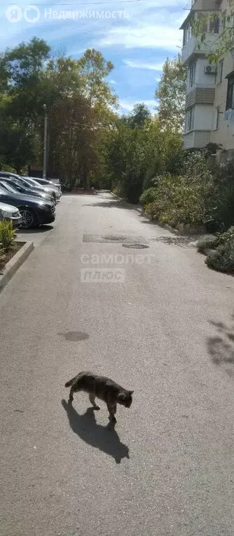 1-комнатная квартира: Севастополь, проспект Октябрьской Революции, 35 ... - Фото 1