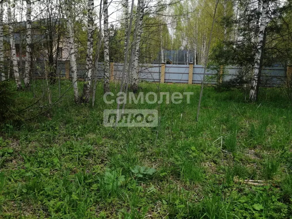 Участок в Ивановский муниципальный округ, деревня Худынино (16 м) - Фото 1