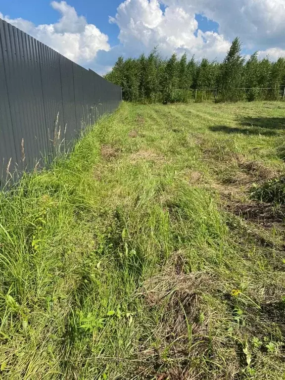 Участок в Московская область, Раменский муниципальный округ, Заречье ... - Фото 1
