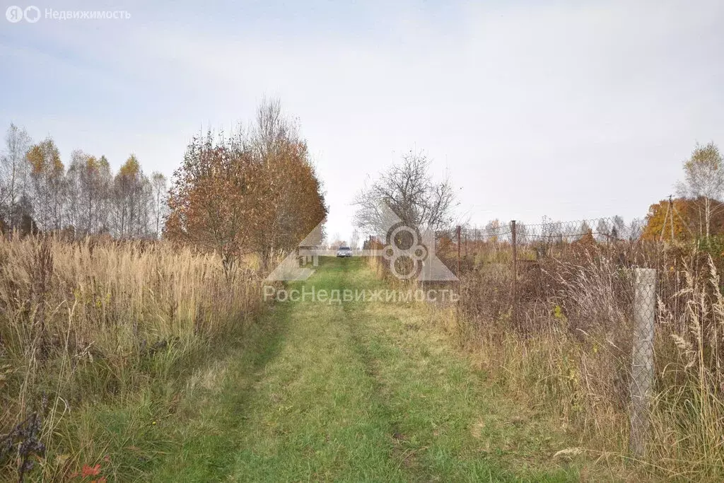 Участок в Владимирская область, Кольчугинский муниципальный округ, ... - Фото 2