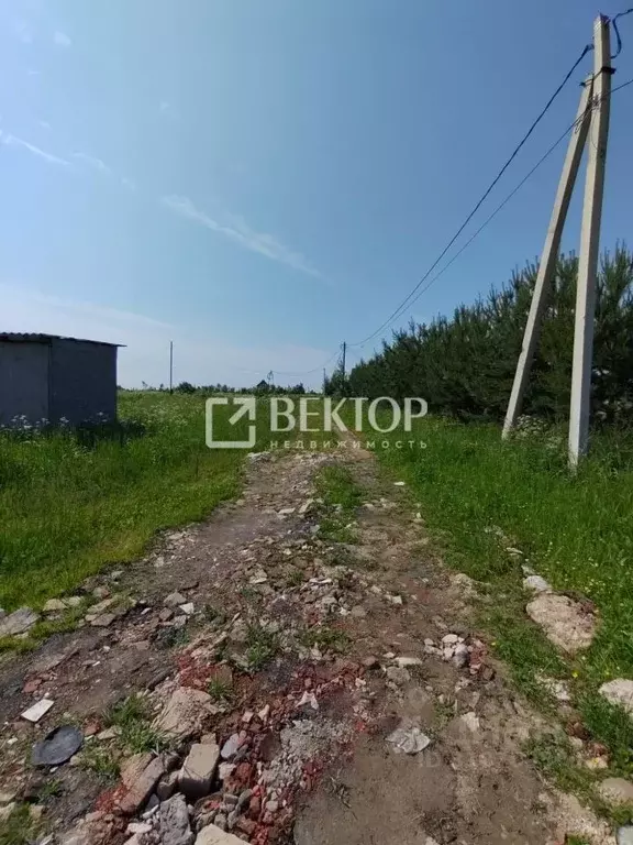 Участок в Костромская область, Красносельский район, Гридинское с/пос, ... - Фото 2