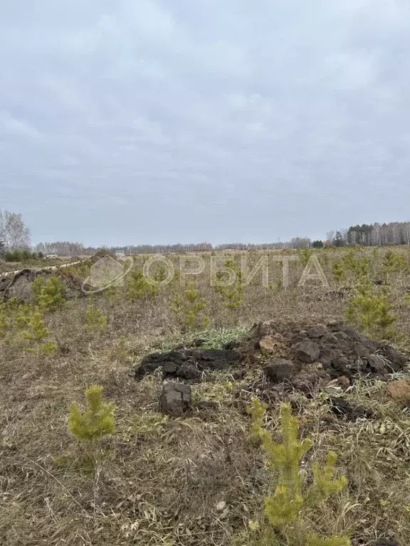 Участок в Тюменская область, Тюменский район, д. Ушакова Зеленая ул. ... - Фото 0