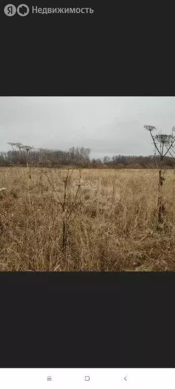 Участок в Пермский край, Краснокамский муниципальный округ, деревня ... - Фото 1