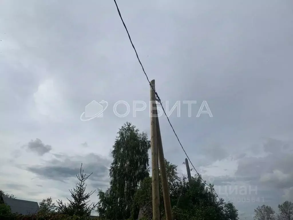 Участок в Тюменская область, Тюмень Поле Чудес садовое товарищество, ... - Фото 2