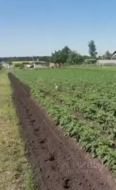 Участок в Татарстан, Альметьевский район, с. Васильевка  (20.0 сот.) - Фото 1