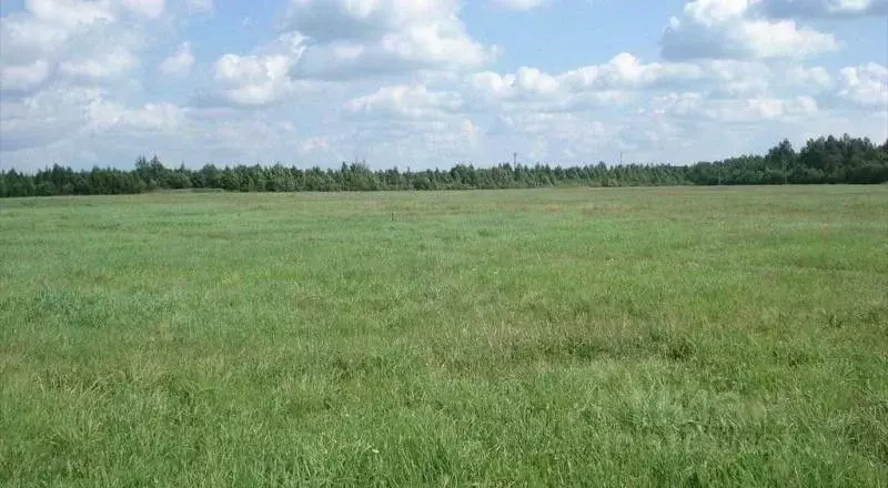 Участок в Ленинградская область, Всеволожский район, Романовское ... - Фото 0