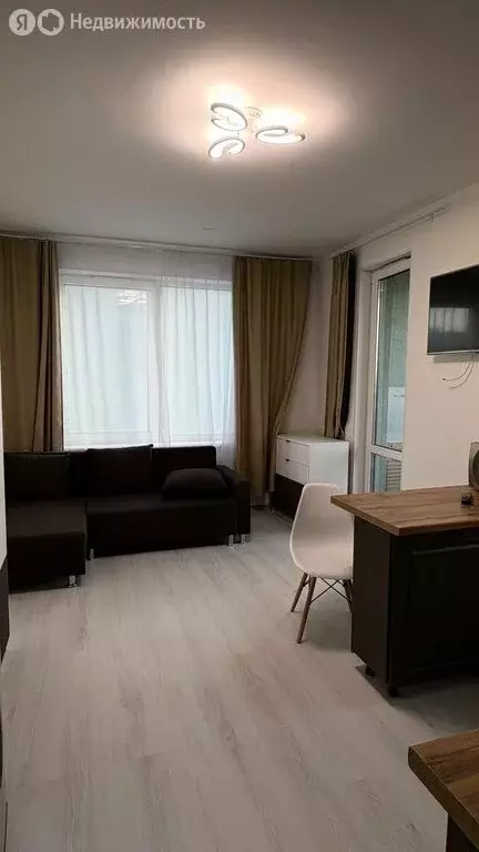 Квартира-студия: Санкт-Петербург, Арцеуловская аллея, 17 (24.6 м) - Фото 1