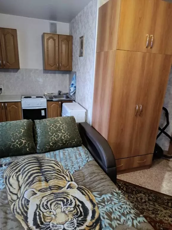 Студия Алтайский край, Барнаул ул. Гущина, 161А (23.0 м) - Фото 1