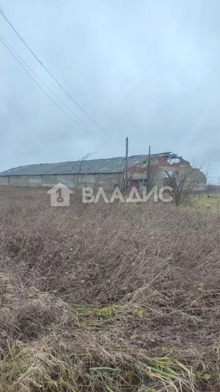 Участок в Калининградская область, Зеленоградский муниципальный округ, ... - Фото 1