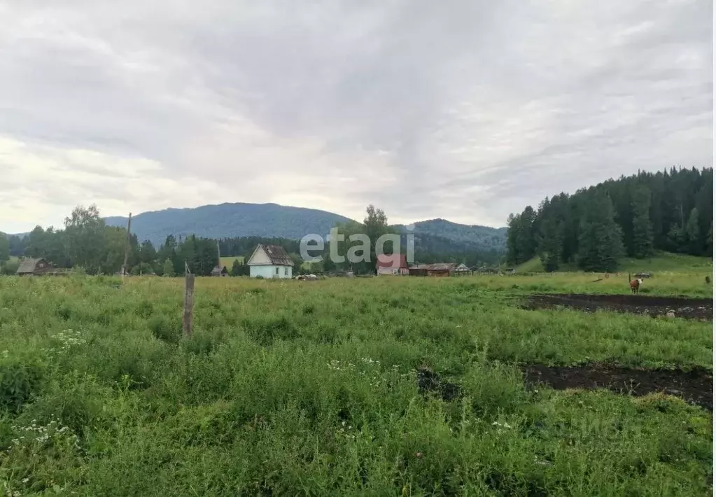 Участок в Алтай, Чойский район, с. Салганда  (25.0 сот.) - Фото 1