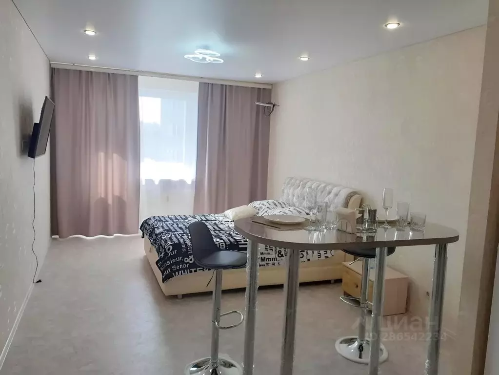 Студия Саратовская область, Саратов Крайняя ул., 87 (33.0 м) - Фото 2