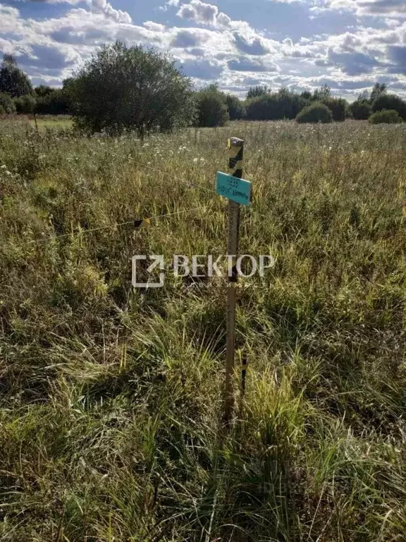 Участок в Костромская область, Кострома Первый кп, ул. Губернская ... - Фото 1