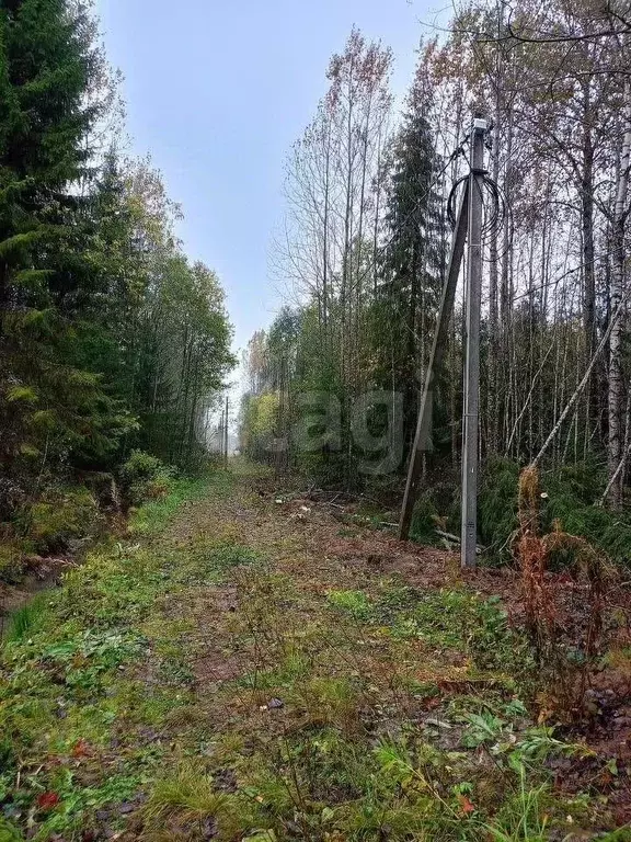 Участок в Вологодская область, Лечебное садоводческое товарищество 40 ... - Фото 1