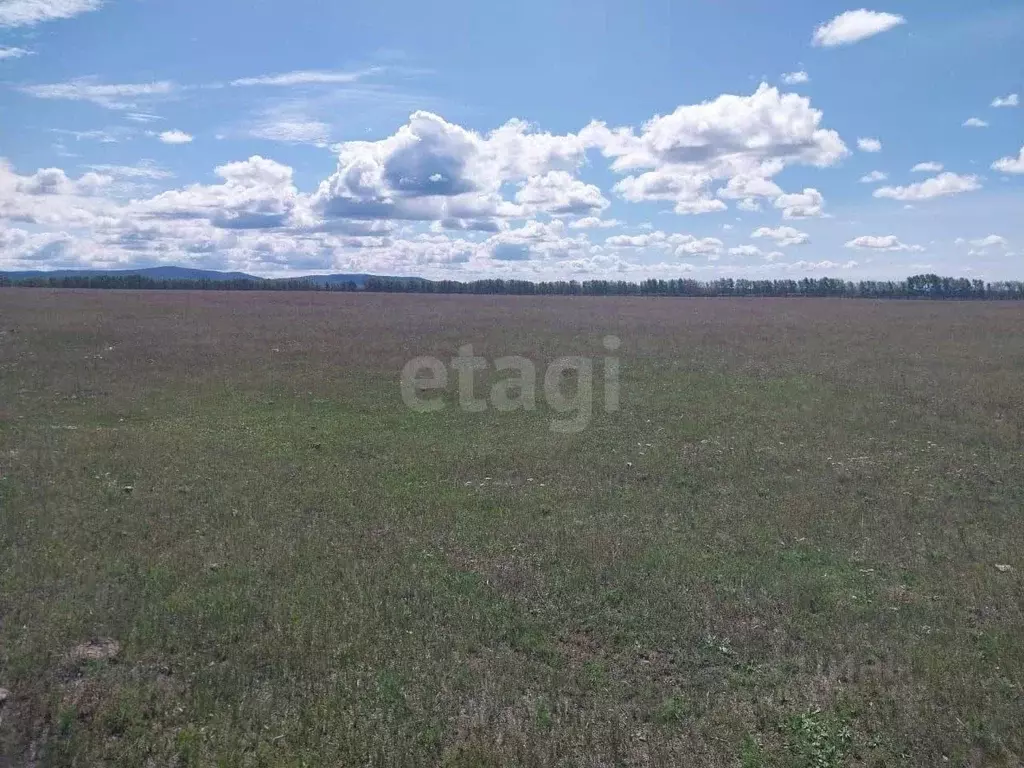 Участок в Бурятия, Кабанский район, с. Оймур  (151.0 сот.) - Фото 1