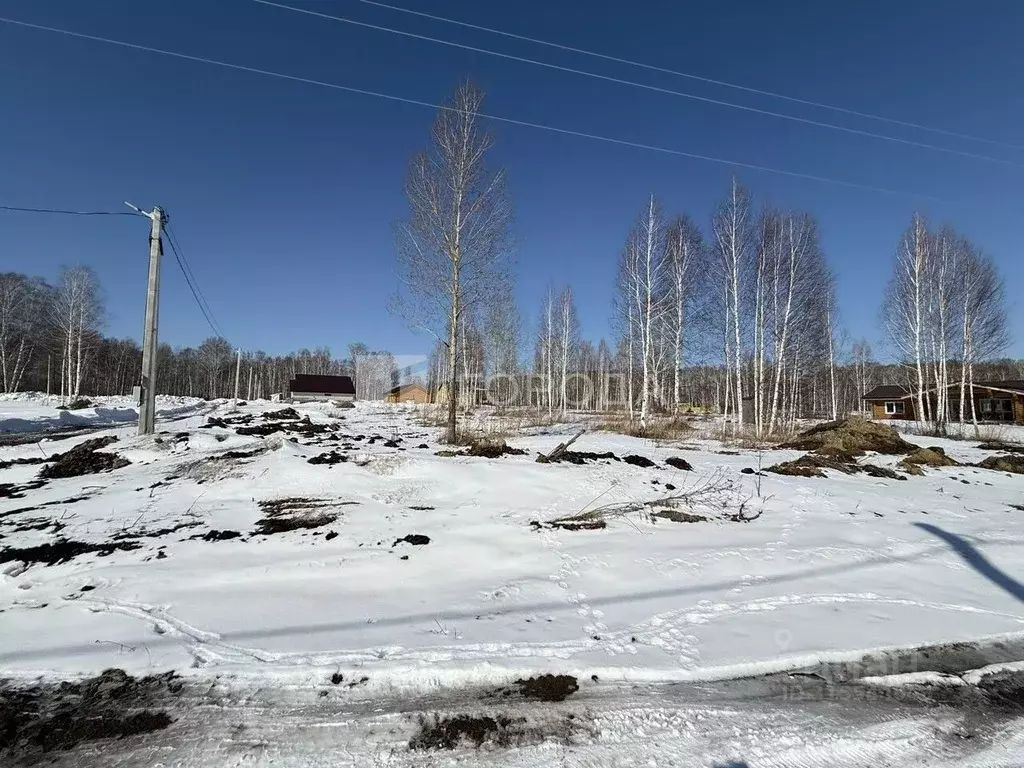 Участок в Новосибирская область, Новосибирский район, Станционный ... - Фото 1