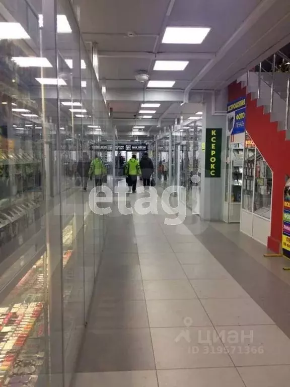 Торговая площадь в Владимирская область, Муром ул. Куликова, 4 (70 м) - Фото 1