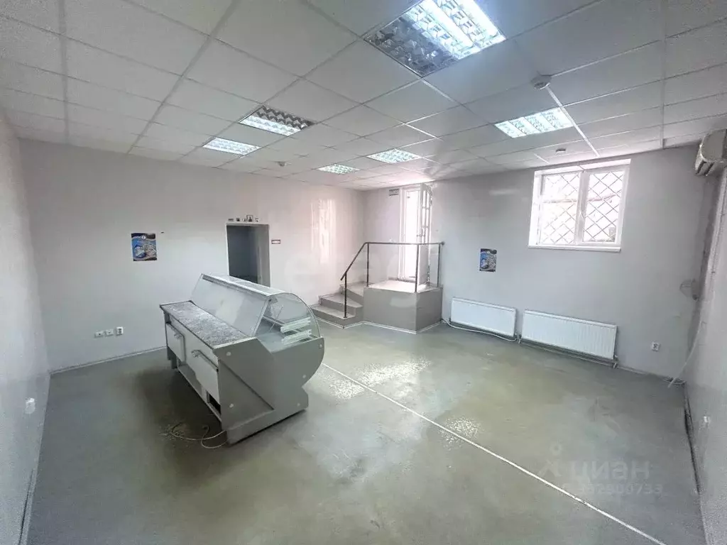 Помещение свободного назначения в Ставропольский край, Ставрополь ул. ... - Фото 1