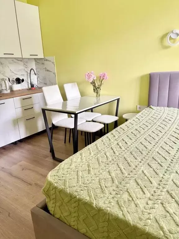 Студия Краснодарский край, Сочи ул. Искры, 88к8 (30.0 м) - Фото 0