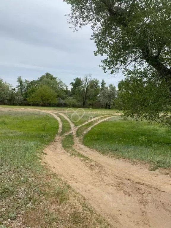 Участок в Волгоградская область, Волгоград ул. Артезианская (7.58 ... - Фото 1