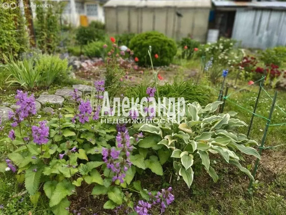 Дом в Выборгский район, Рощинское городское поселение, территория ... - Фото 1