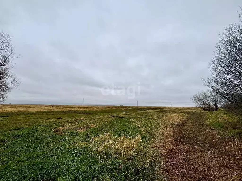 Участок в Ханты-Мансийский АО, Ханты-Мансийск Таволожное урочище,  ... - Фото 0