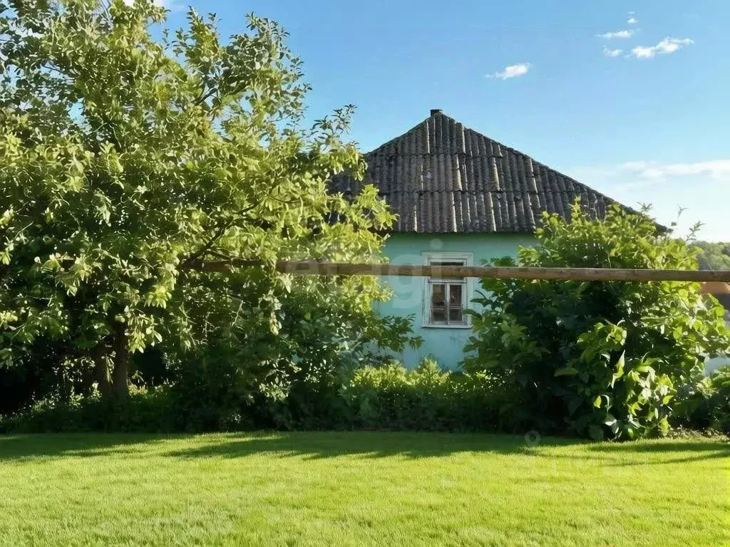 Дом в Белгородская область, Губкинский городской округ, с. Хворостянка ... - Фото 1