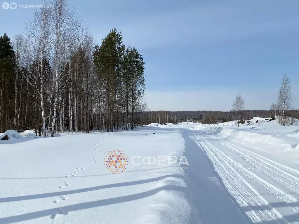 Участок в Новосибирский район, село Плотниково (8 м) - Фото 0