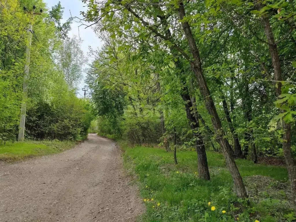 Участок в Амурская область, Благовещенский район, с. Чигири ул. ... - Фото 0