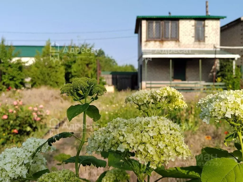 Дом в Волгоградская область, Волгоград Север СНТ,  (53 м) - Фото 0