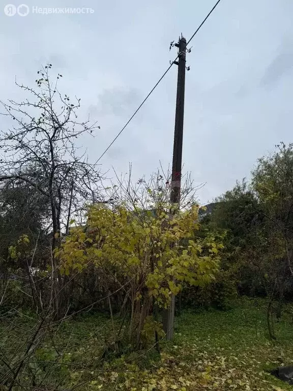 Участок в Калининград, улица Александра Невского (2.91 м) - Фото 2