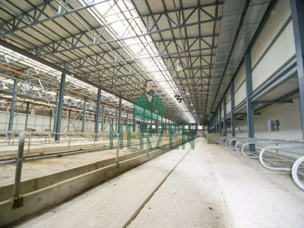 Склад в Московская область, Солнечногорск городской округ, д. Соколово ... - Фото 2