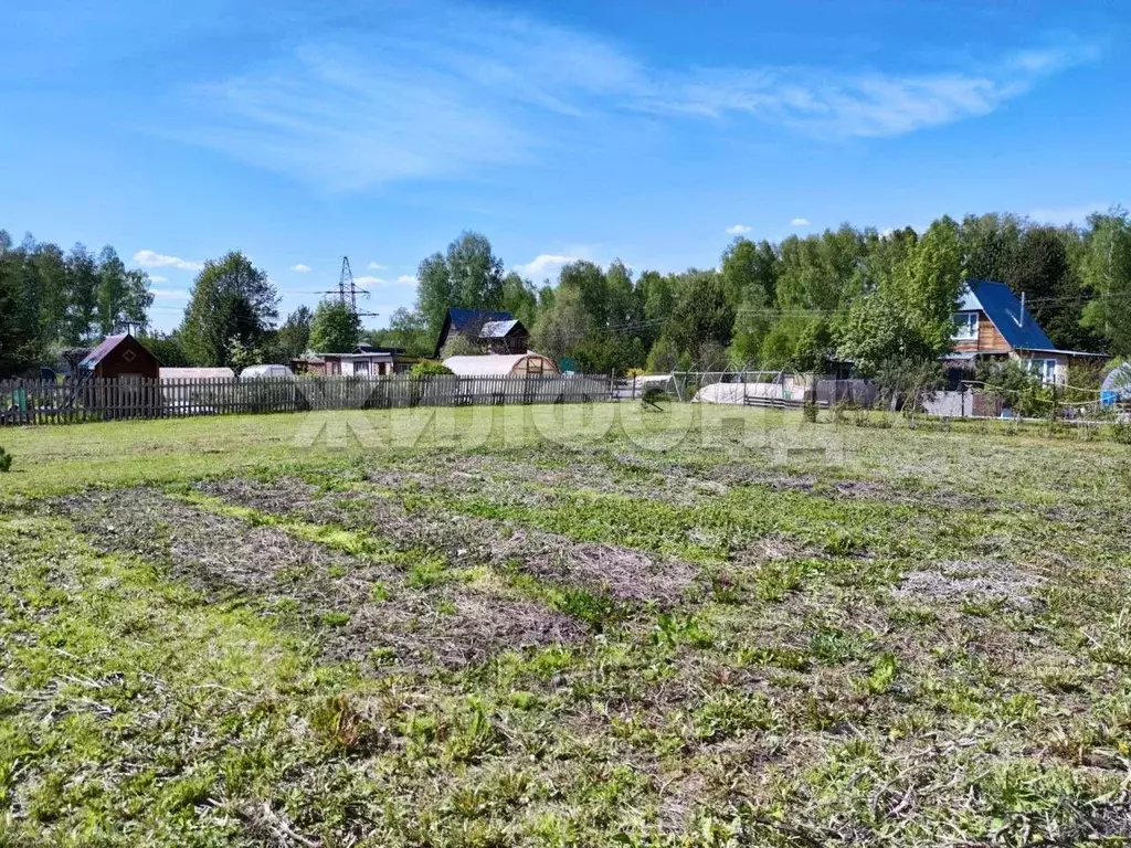 Участок в Новосибирская область, Новосибирский район, Березовский ... - Фото 1
