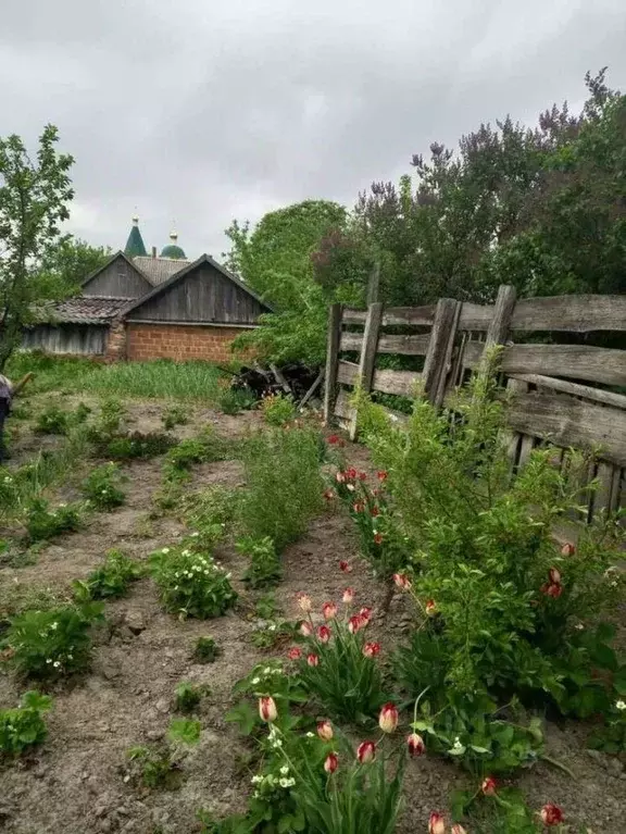 Участок в Белгородская область, Шебекинский муниципальный округ, с. ... - Фото 1