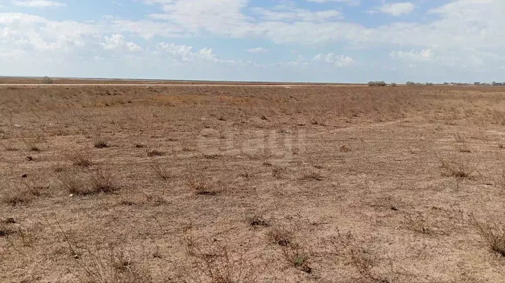 Участок в Крым, Ленинский район, Семисотское с/пос, с. Соляное ул. ... - Фото 1