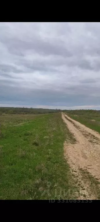 Участок в Новгородская область, Шимское городское поселение, д. Голино ... - Фото 2