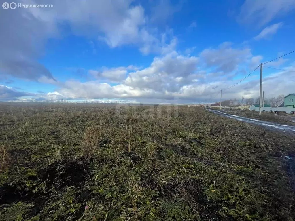 Участок в Лямбирский район, село Берсеневка (10 м) - Фото 2