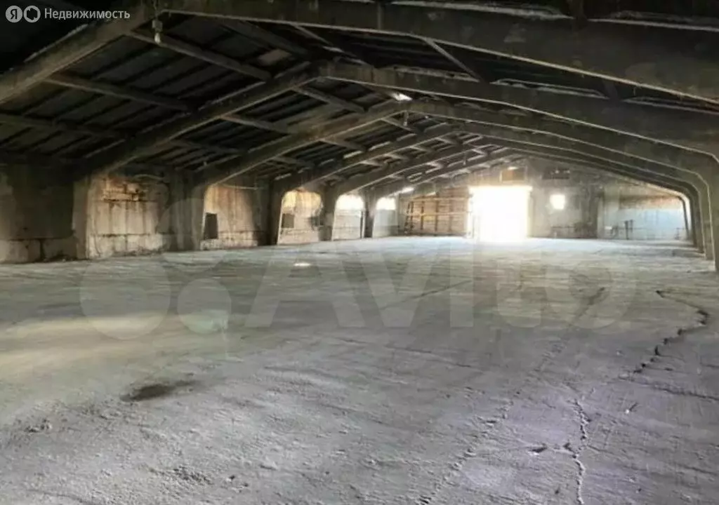 Помещение свободного назначения (1700 м) - Фото 0