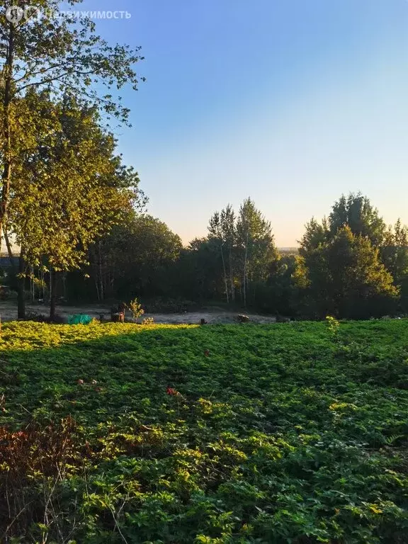 Участок в Колтушское городское поселение, деревня Куйворы, 45 (19.5 м) - Фото 1