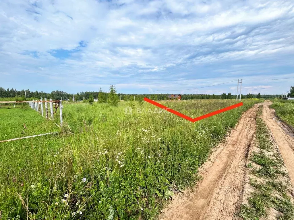 Участок в Ивановская область, Шуйский район, Остаповское с/пос, с. ... - Фото 1