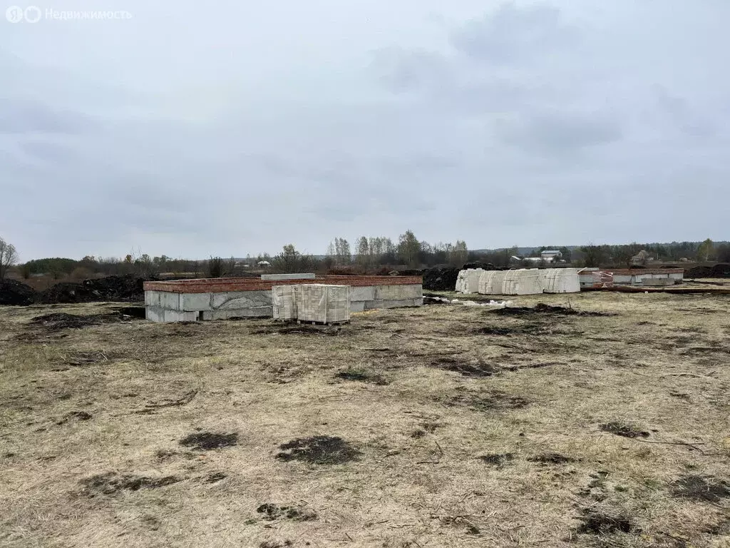 Участок в Тамбовская область, Знаменский муниципальный округ, деревня ... - Фото 2